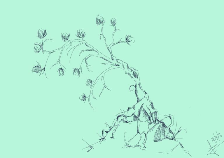 Sketch - Flowering Tree